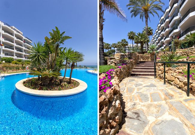 Apartment in Sitio de Calahonda - K08 Mi Capricho - Apartment Apartment in Sitio de Calahonda - K08 Mi Capricho - Apartment
